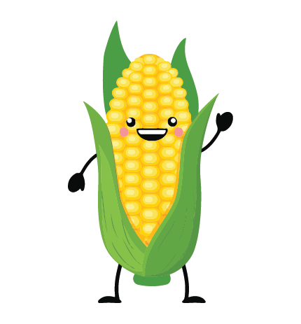 Corn sized